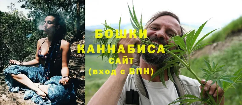 Конопля SATIVA & INDICA  MEGA онион  Мензелинск 